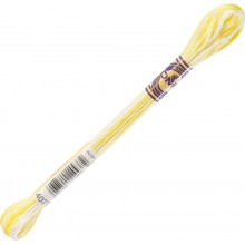 DMC Color Variations 6-strand floss - 4077