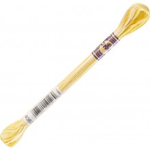DMC Color Variations 6-strand floss - 4080