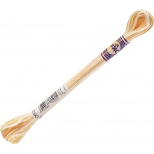 DMC Color Variations 6-strand floss - 4090