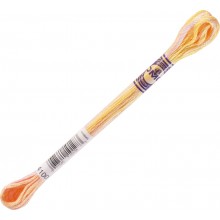 DMC Color Variations 6-strand floss - 4100