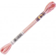 DMC Color Variations 6-strand floss - 4110