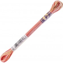 DMC Color Variations 6-strand floss - 4120