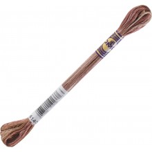 DMC Color Variations 6-strand floss - 4140
