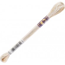 DMC Color Variations 6-strand floss - 4150