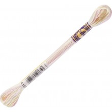 DMC Color Variations 6-strand floss - 4160