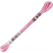 DMC Color Variations 6-strand floss - 4180