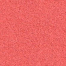 Cinnamon Patch Felt - Coral CP141