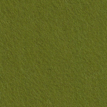Cinnamon Patch Felt - Lichen CP054