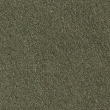 Cinnamon Patch Felt - Olive CP039