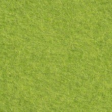 Cinnamon Patch Felt - Matcha Tea CP144