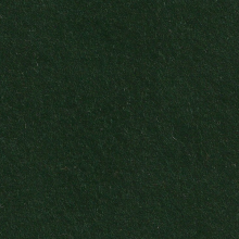 Cinnamon Patch Felt - Bottle Green CP042