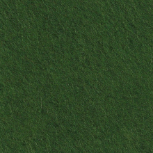 Cinnamon Patch Felt - Grass Green CP041