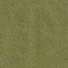 Cinnamon Patch Felt - Khaki Green CP092