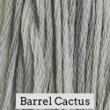Classic Colorworks - Barrel Cactus