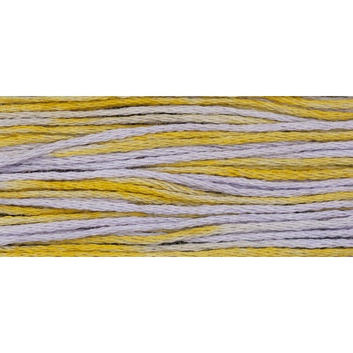 Clara 1146