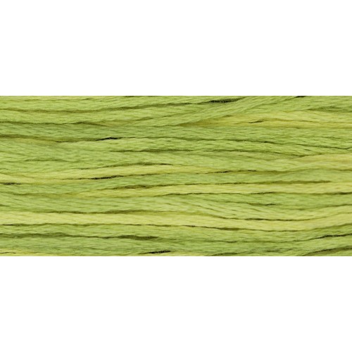 Daffodil 1119