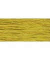 Lichen 2208