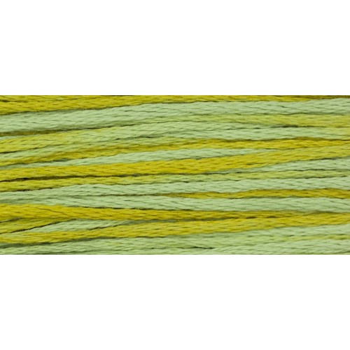 Pistachio 2206