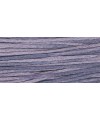 Plum 2321