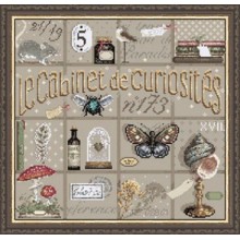 Cabinet de curiosités - Madame la Fée