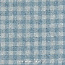 Woven blue check 3523-1601-80 - Acufactum