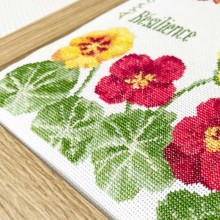 Les capucines J030 - Lili points