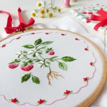 Strawberry cake - Tamar Nahir-Yanai