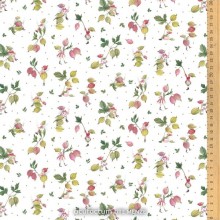 Délice de groseilles - 3523-2028 - Acufactum