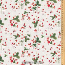 Récolte de fraises - 3523-2029 - Acufactum