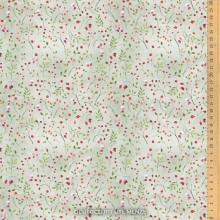 Mini baies d'hiver - 3523-2035 - Acufactum